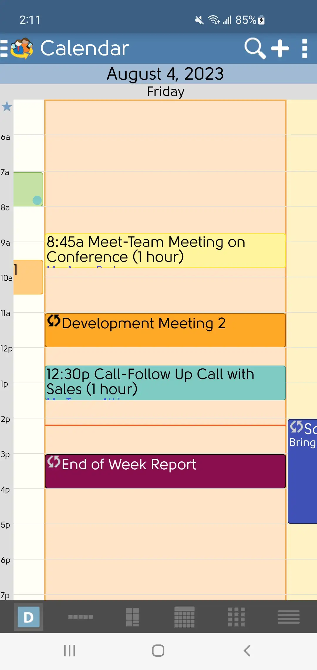 DejaOffice calendar Day view